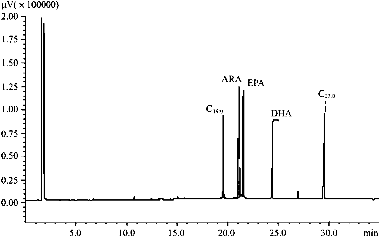 第四節(jié) ARA、EPA和DHA的檢測(cè)